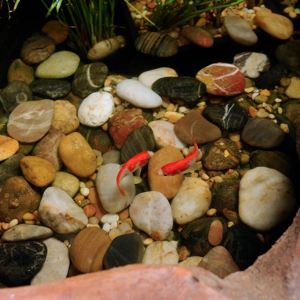 Pond Boss Pond Chlorine Remover, 453 ml